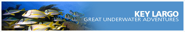Key Largo-Travel guide