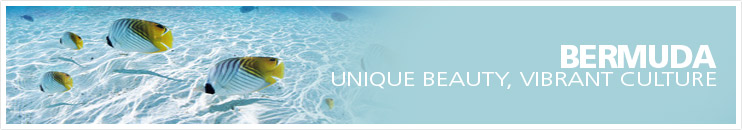 bermuda all inclusive vacation packages