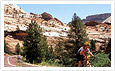 Globus Escorted Tours