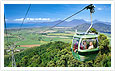 Contiki Tours