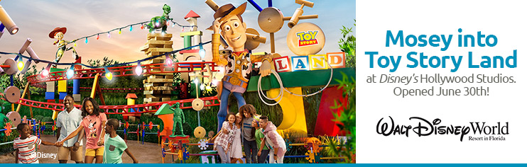 Disney Vacations Canada Cheap Disney Vacations Disney World